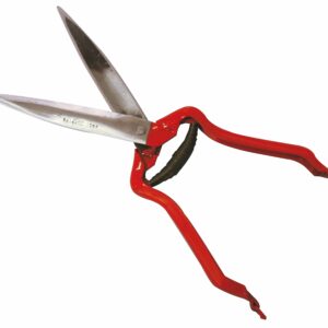 Ψαλίδι κουρέματος προβάτων, 29.5cm