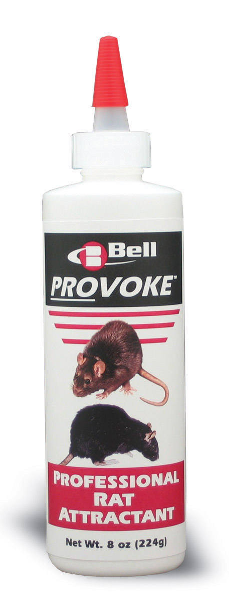 Provoke-Rat