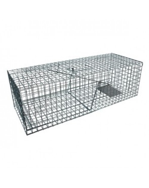 kc76-cat-trap-500x630-1